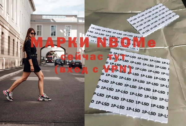 стафф Ладушкин
