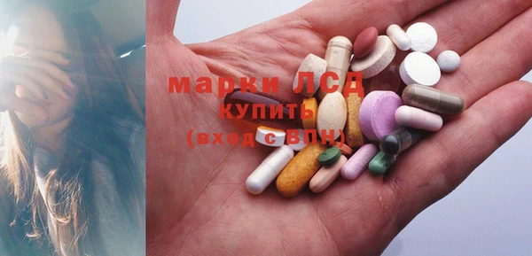 мяу мяу мука Кулебаки