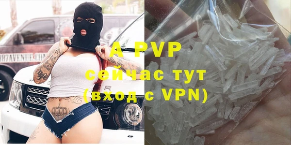 стафф Ладушкин