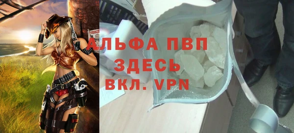 стафф Ладушкин