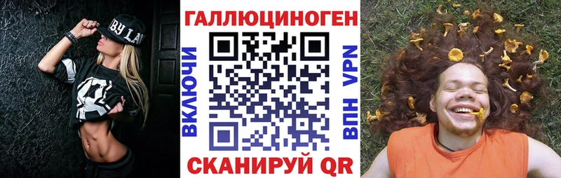 Купить закладки  Гудермес  Галлюциногенные грибы Magic Shrooms 